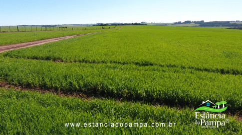 VAI DA BR PARA A FAZENDA.00_00_14_22.Quadro008_a2a4618572c2b59c420fbc65279c7eebb5ad3c34.jpg